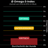 Omega 3 Algenöl Haustiere