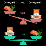 Omega 3 Algenöl Haustiere