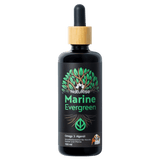 Omega 3 Algenöl Haustiere
