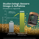 Omega 3 Algenöl Kapseln