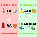 Omega 3 Algenöl